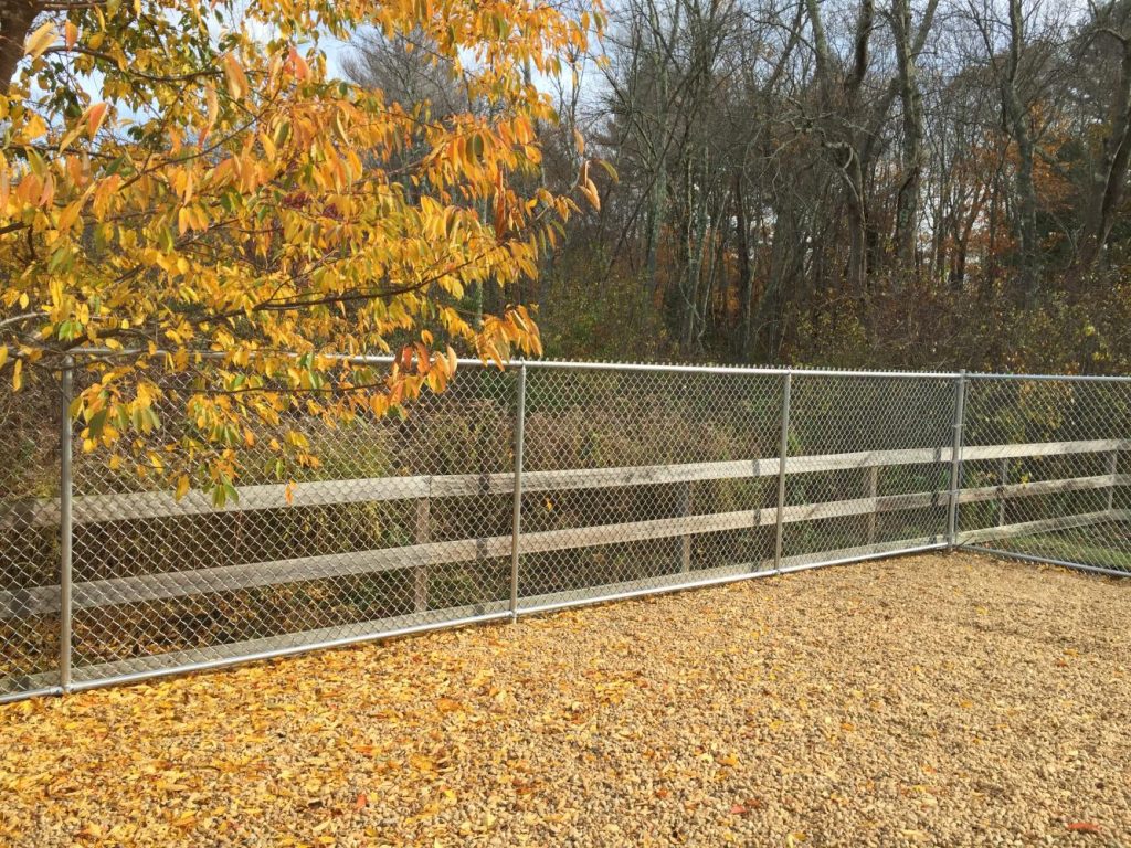 Galvanized chain link-Dog - Reliable Fence